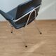 Stella office chair