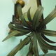 Chandelier of 5 corollas in white granite glass, central decoration with foliage 70s /80s