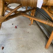 Pair of 80's rattan armchairs
