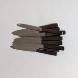 Set of 12 knives