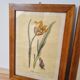 Paire de cadres vintage aquarelles fleurs