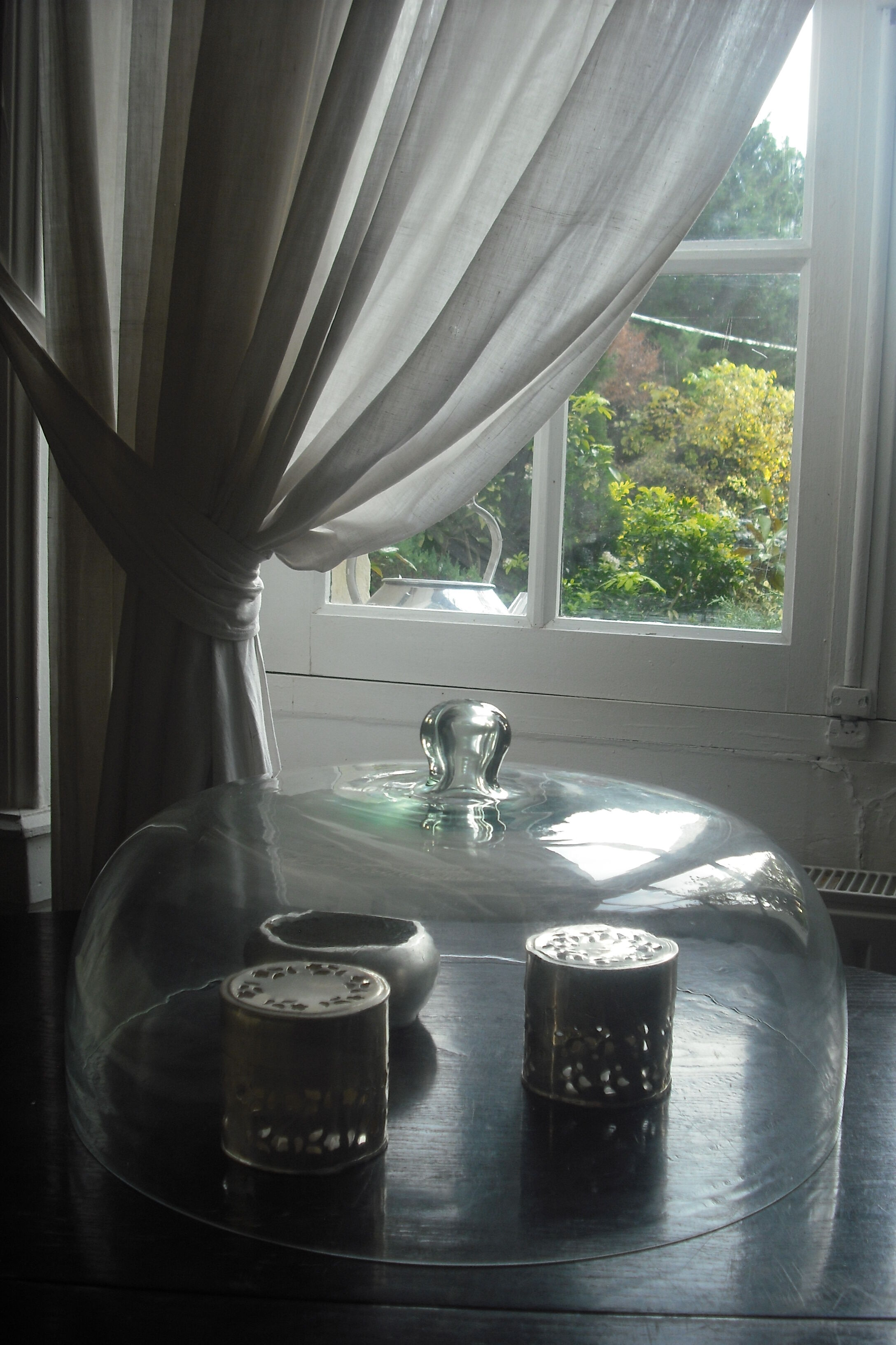 Cloche en verre 41x21cm