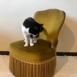 Toad armchair in gold velvet