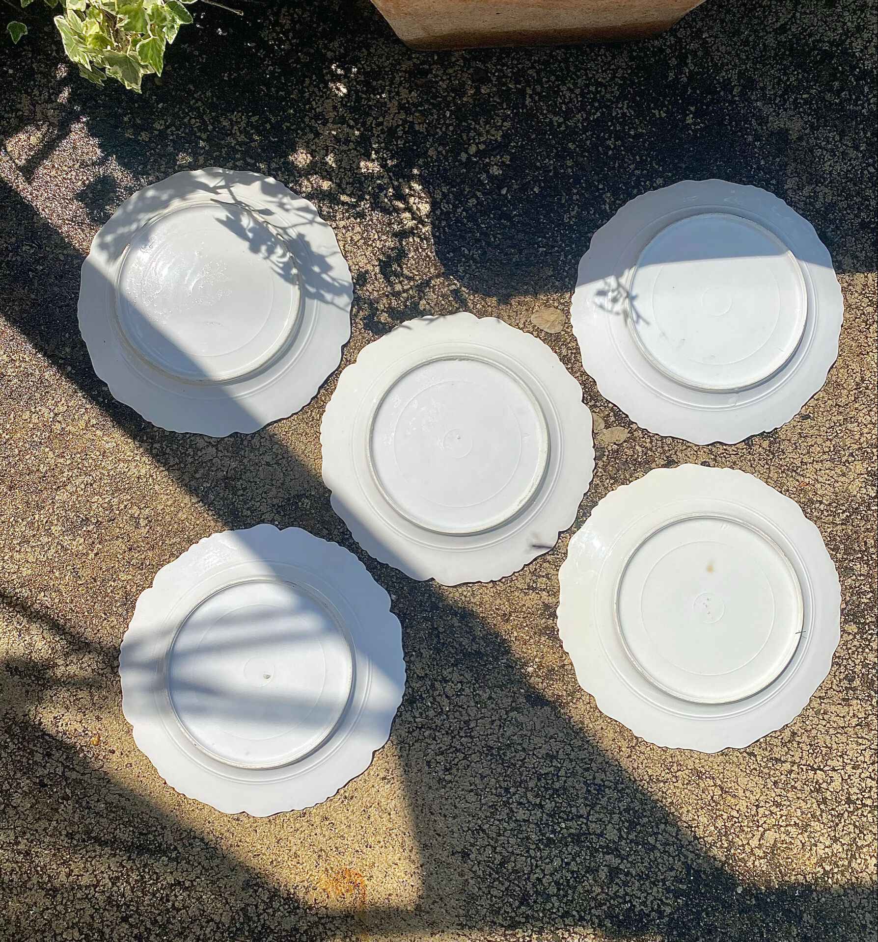 Antique plates from the late 19th century with scalloped edges and fruit decoration.