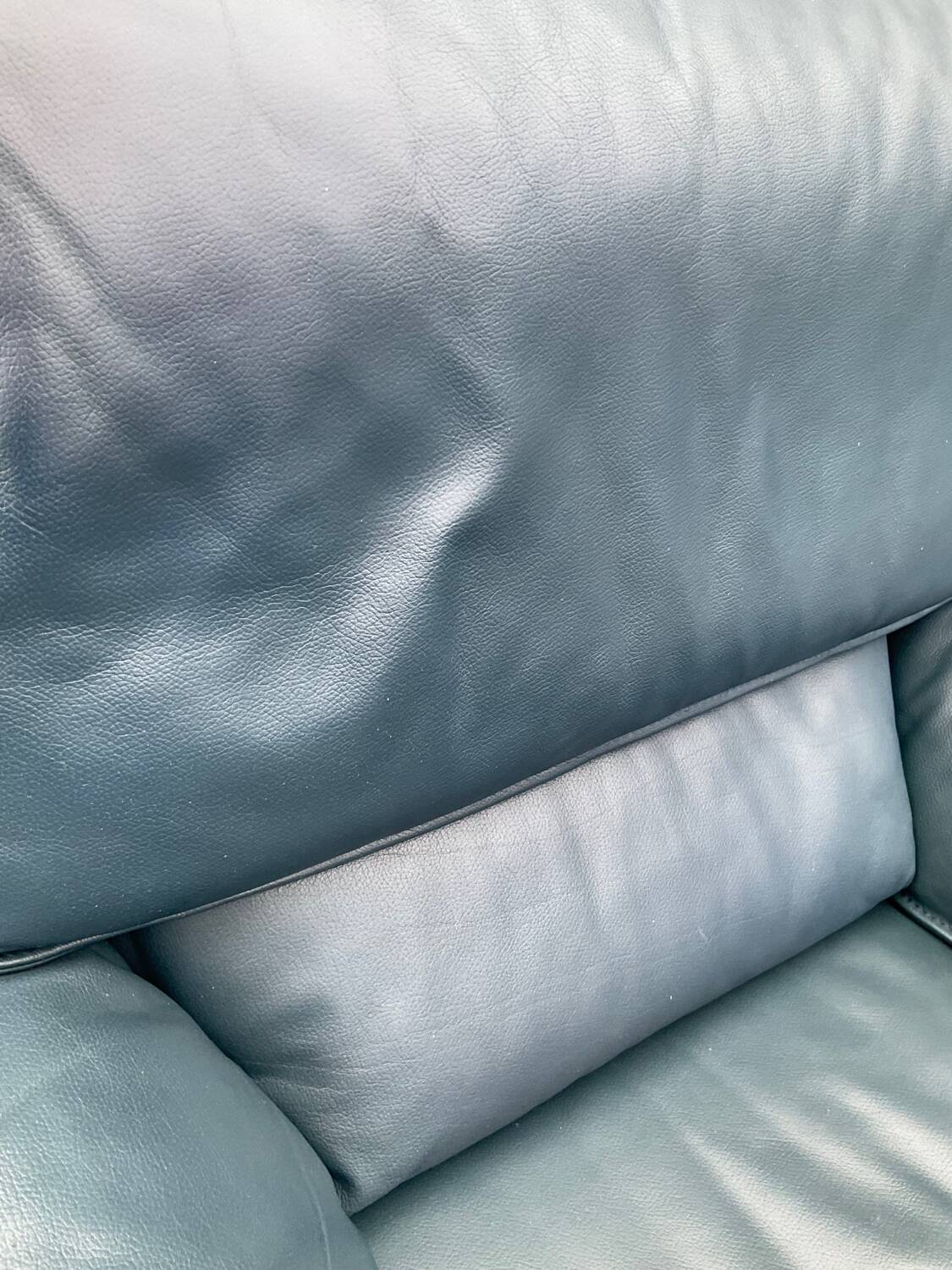Fauteuil Bora Bora pour Leolux par Axel Enthoven