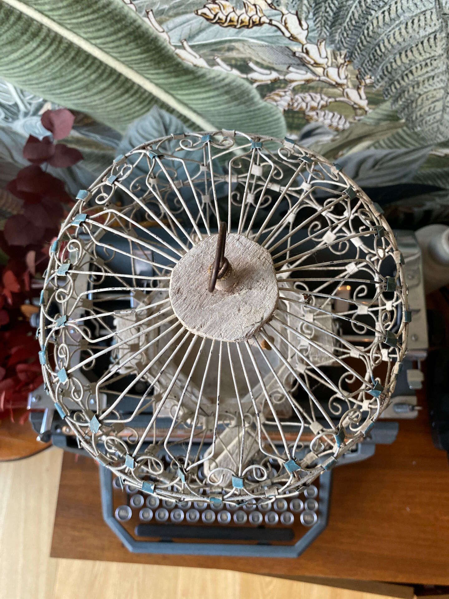 Birdcage
