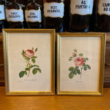 Set of decorative frames