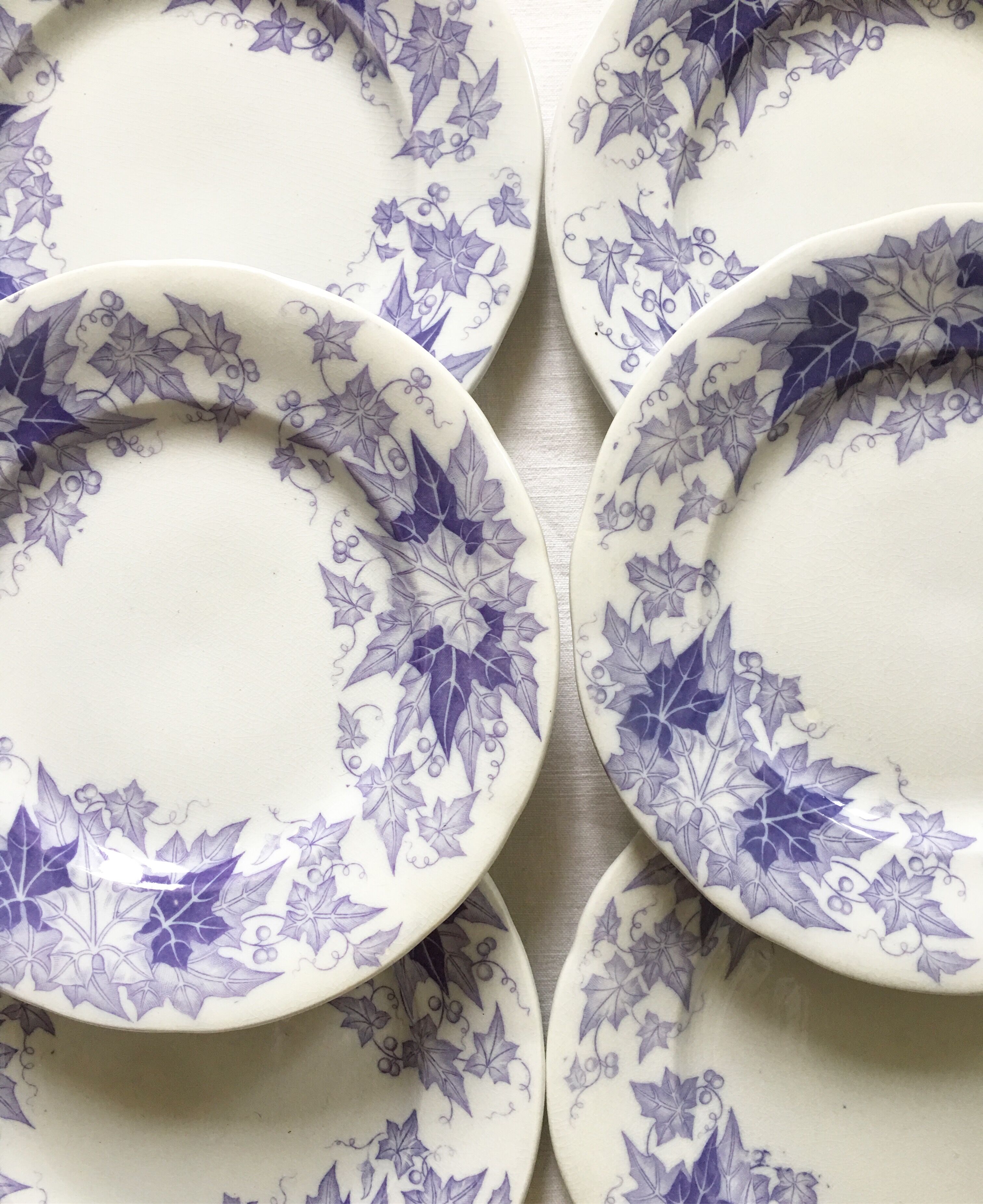 Set of 6 dessert plates Sarreguemines Bryonia Iron Land