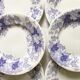 Set of 6 dessert plates Sarreguemines Bryonia Iron Land