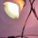 Two art nouveau style tulip lamps signed art de France