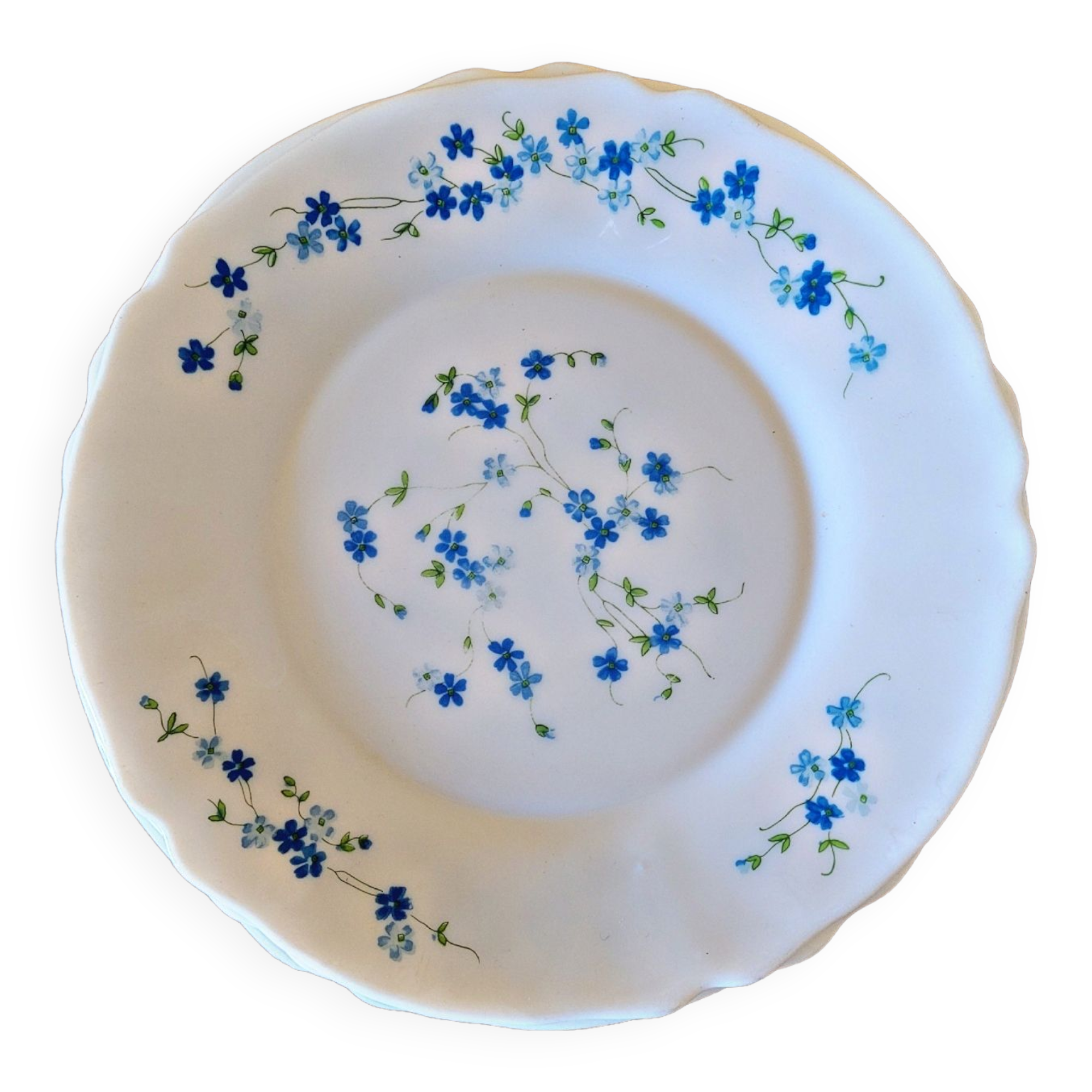 4 flat plates Arcopal Forget-me-not