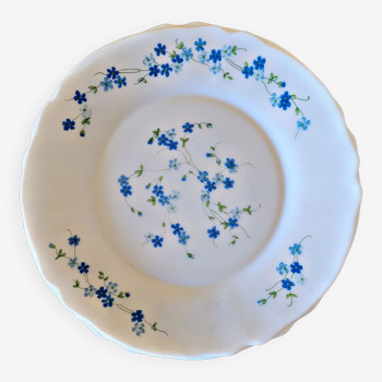 4 assiettes plates Arcopal Myosotis