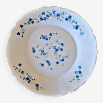 4 flat plates Arcopal Forget-me-not
