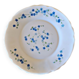 4 flat plates Arcopal Forget-me-not