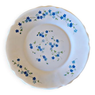 4 flat plates Arcopal Forget-me-not