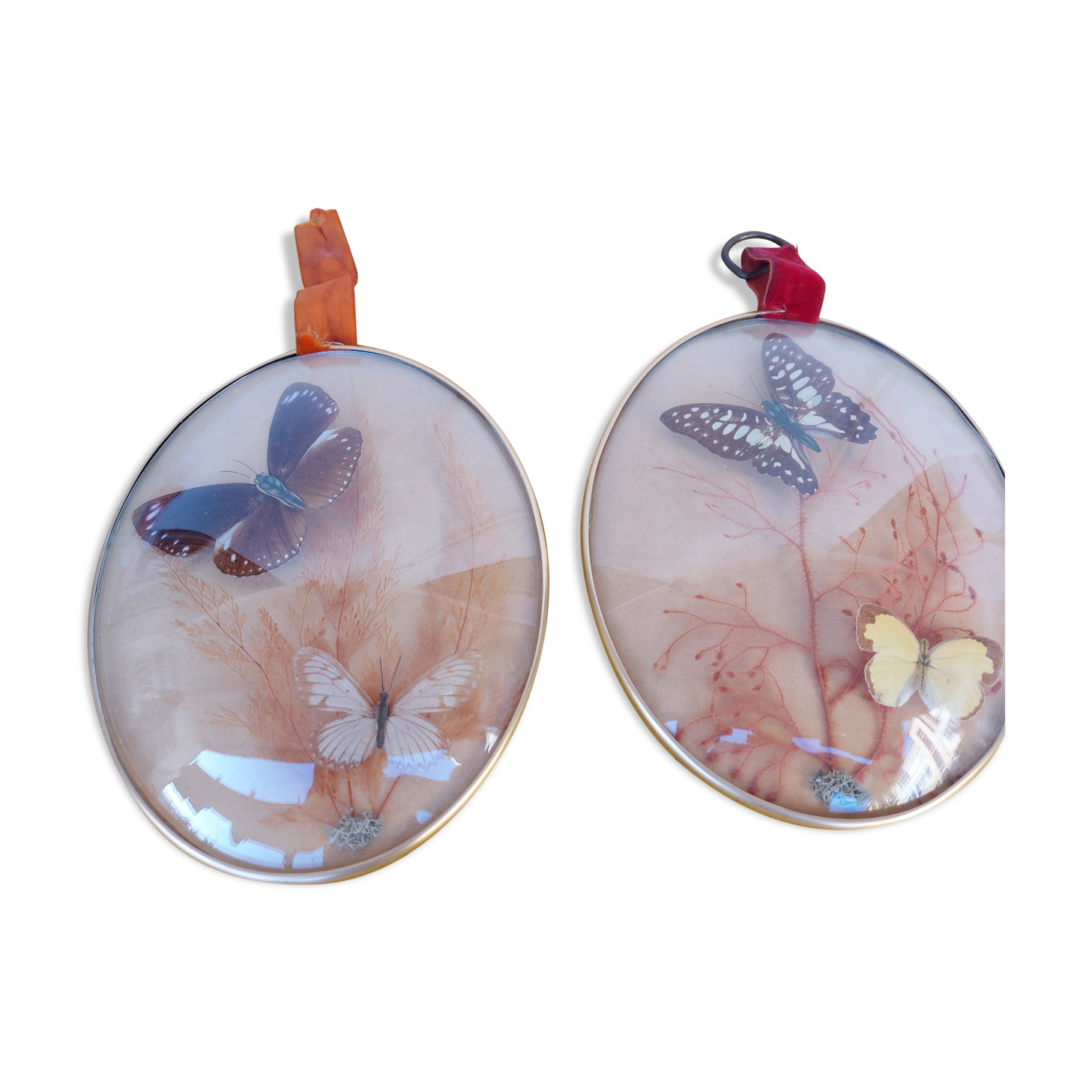 Pair of vintage butterfly frames