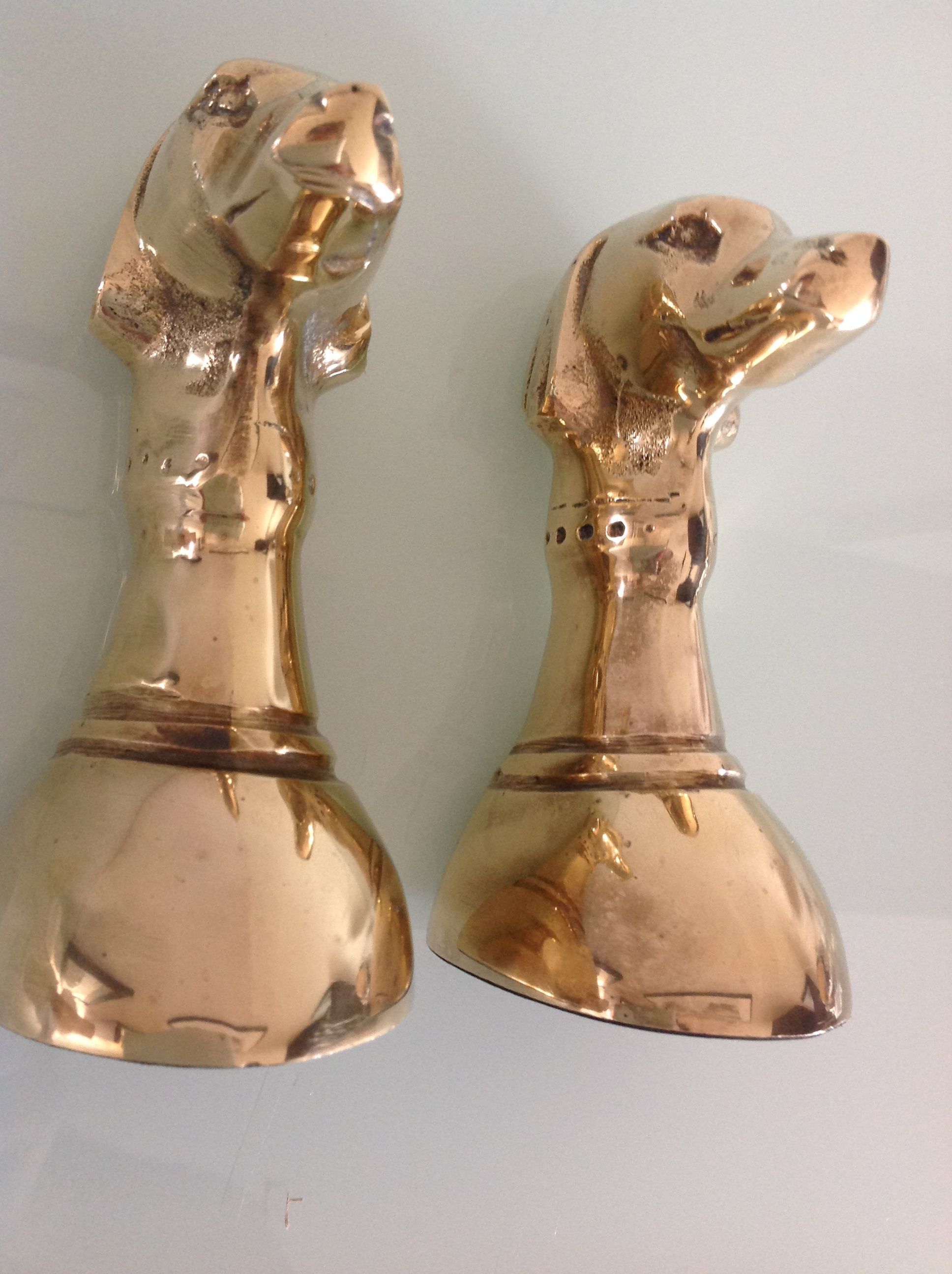 Pair of greenhouse books Greyhound brass heads 60/70