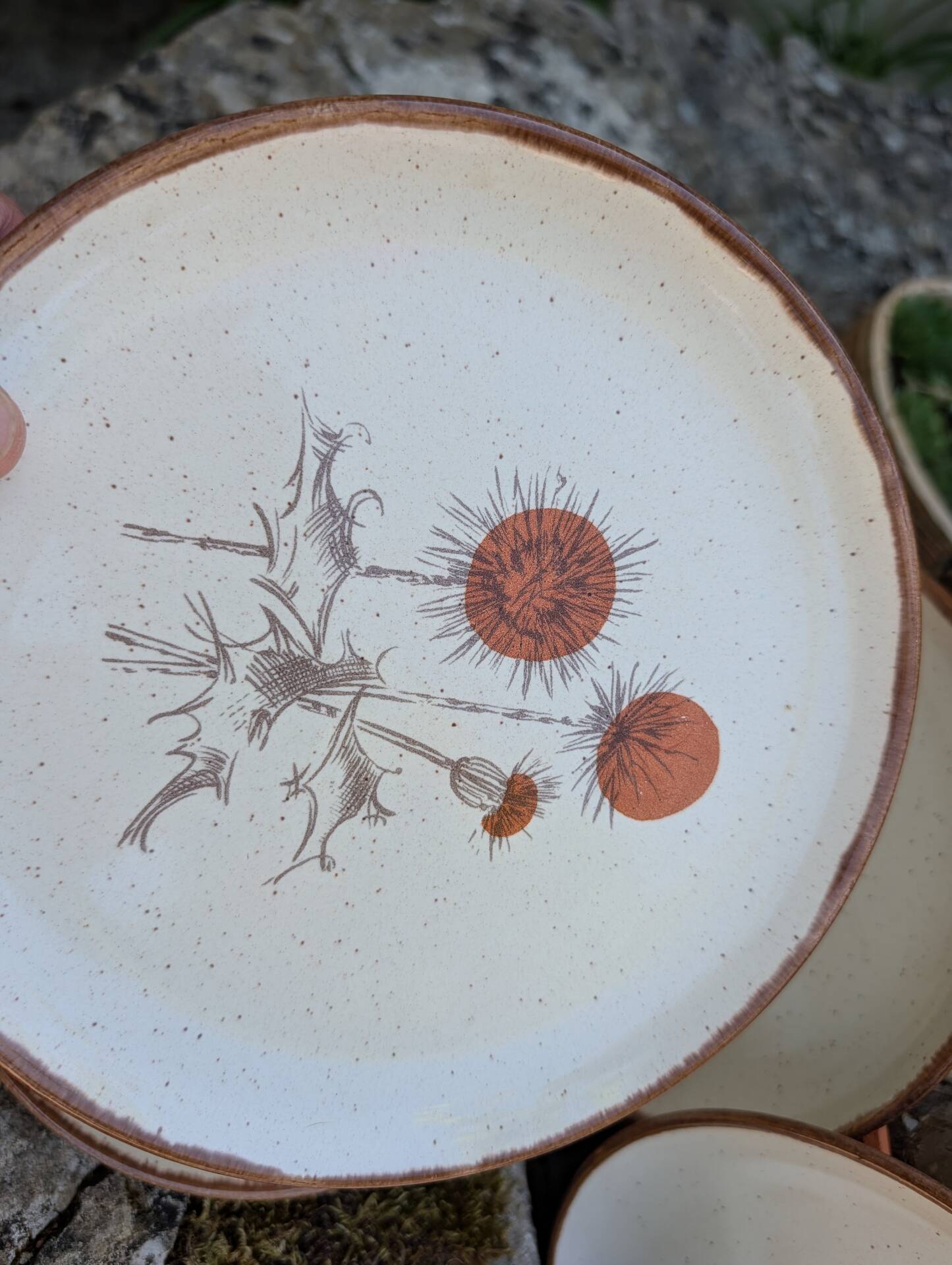 5 flat plates ADP Chardon decor from the 1970s