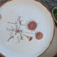 5 flat plates ADP Chardon decor from the 1970s