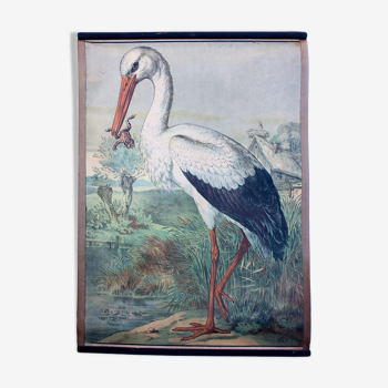 Affiche "cigogne" lithographie Karl Jansky Böhmen 1897