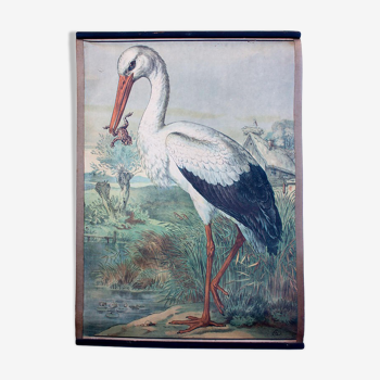 Poster "Stork" lithograph Karl Jansky Böhmen 1897