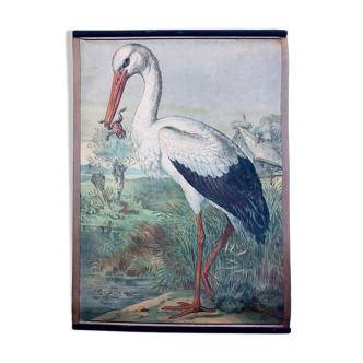 Affiche "cigogne" lithographie Karl Jansky Böhmen 1897