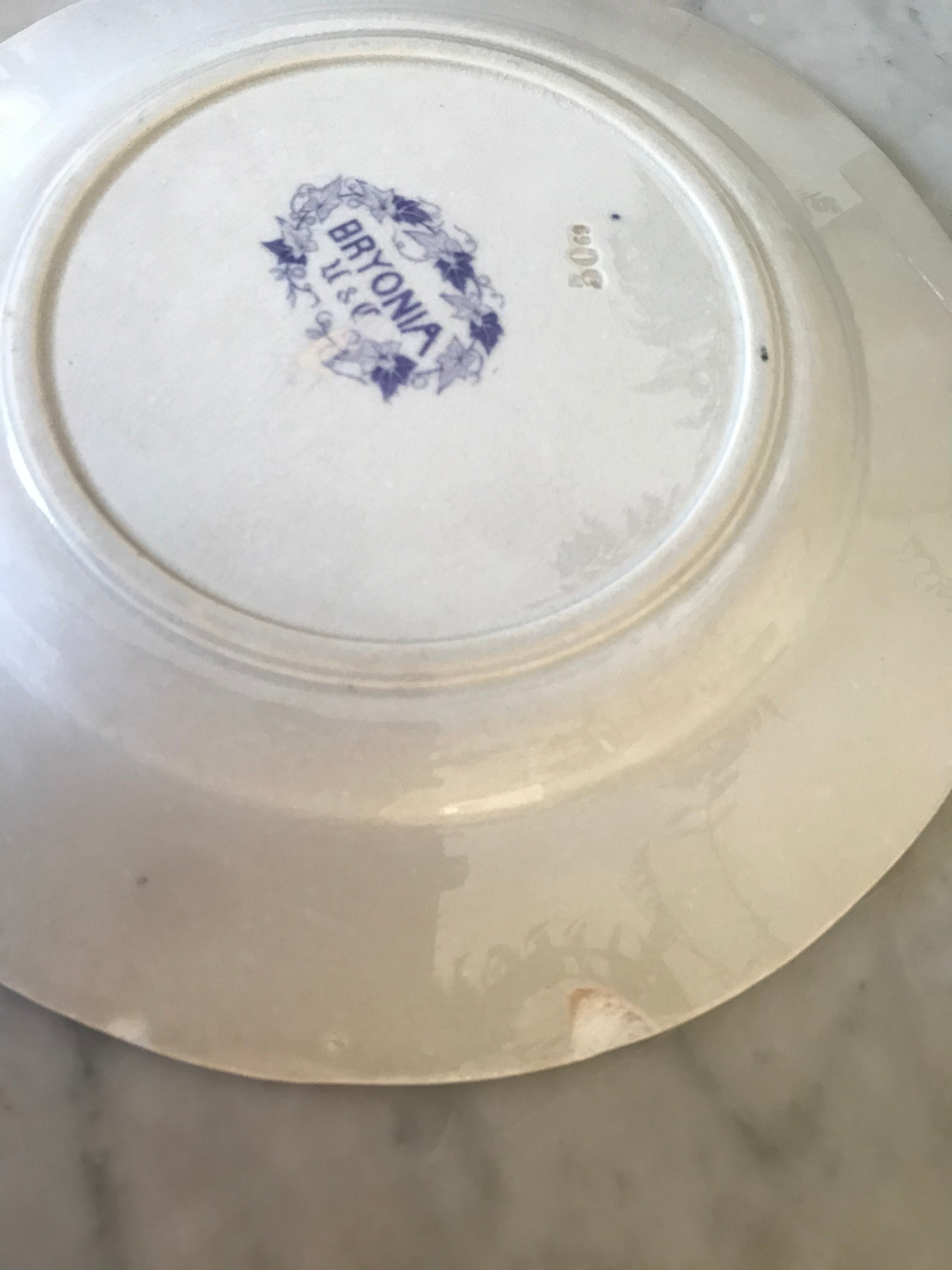 Lot de 10 assiettes Sarreguemines