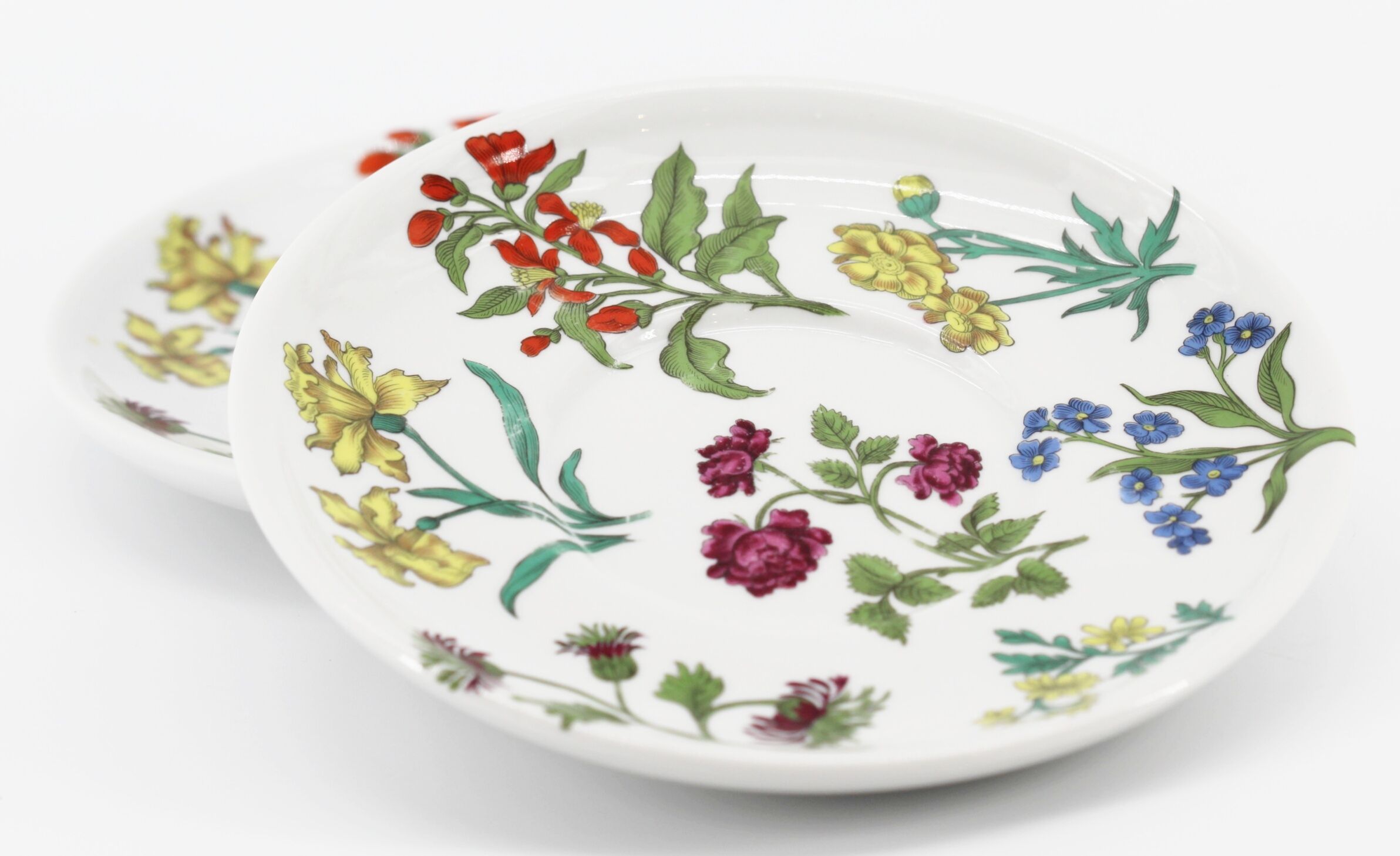 Lot of 2 plates porcelain herbarium of Paris