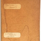 Naturalized butterflies