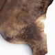 Cowhide / calfskin