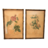 Set of 2 frames