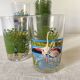 Verres à eau vintage décorés , flamand rose et paon