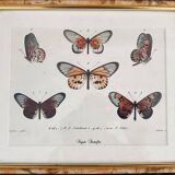 Butterfly frame