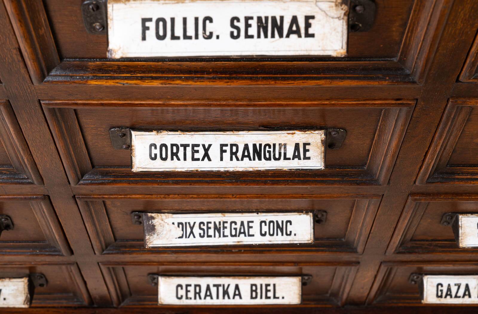 Apothecary Chest of Drawers, Solid Oak Wood, Restored, Early 20th Century