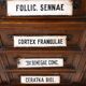 Apothecary Chest of Drawers, Solid Oak Wood, Restored, Early 20th Century