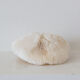 Corail blanc ancien