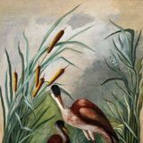 Oil on canvas still life depicting pink flamingos