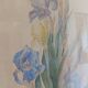 Painting of an iris