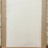 Bird framed lithography