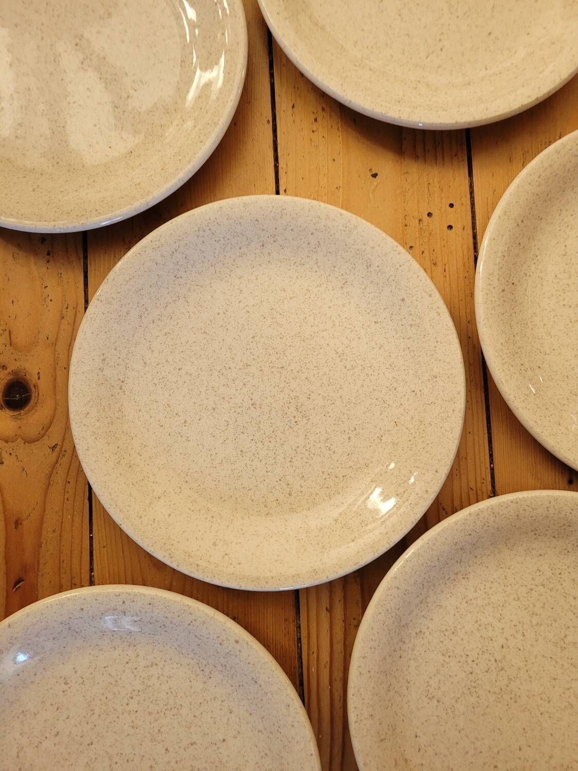 6 assiettes à dessert mouchetées