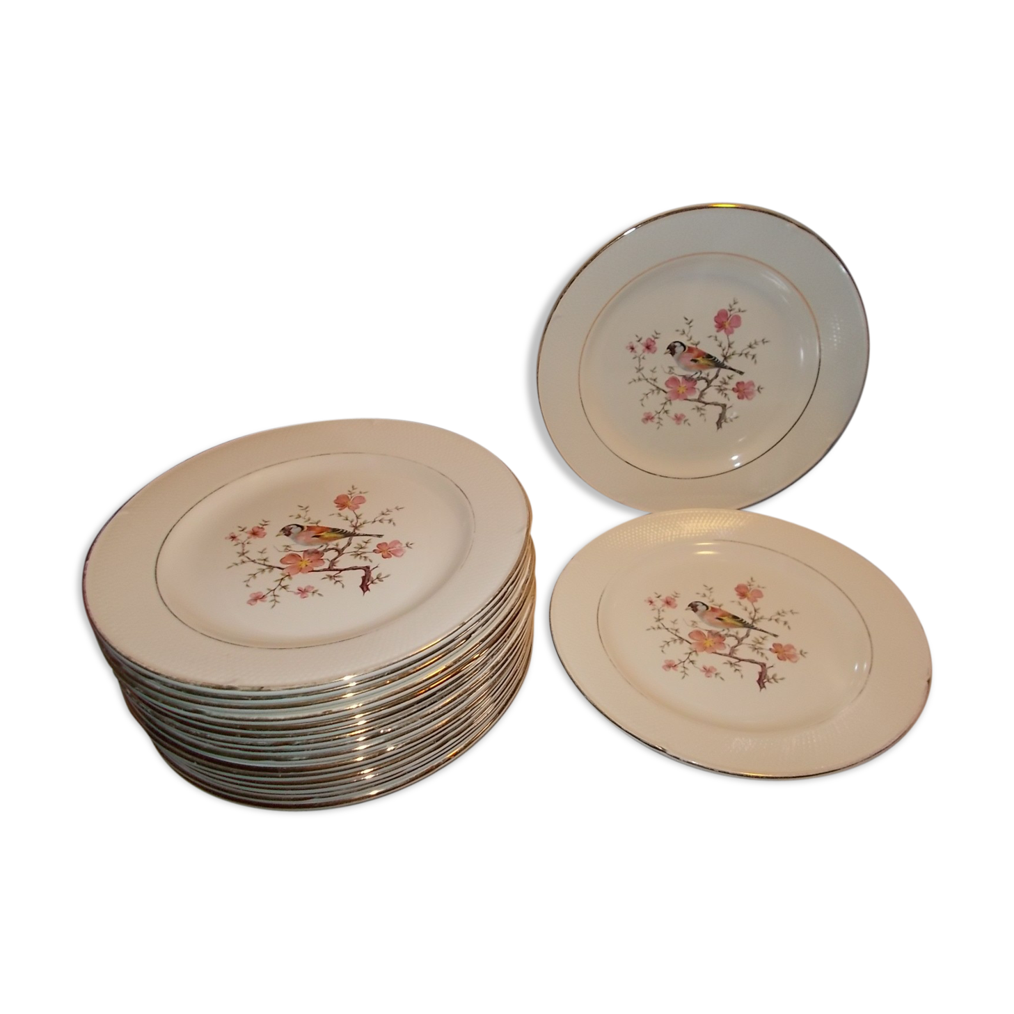 Suite 18 flat plates Salins France