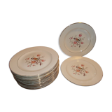 Suite 18 flat plates Salins France