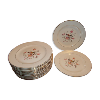 Suite 18 flat plates Salins France