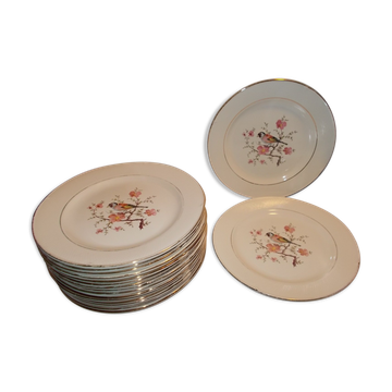 Suite 18 flat plates Salins France