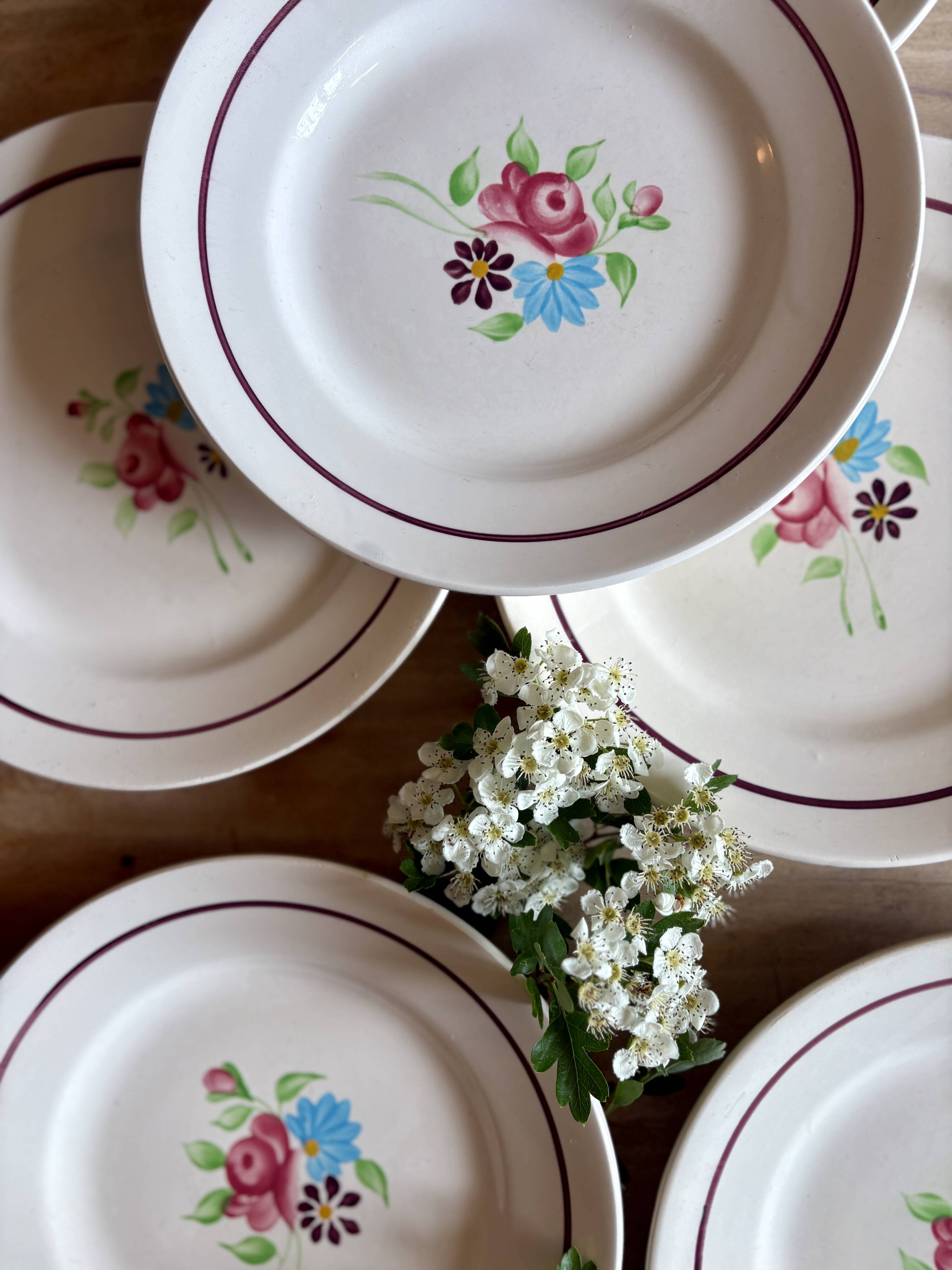 Set of 6 vintage dinner plates, Macon de Nidervillier model