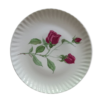 Assiettes plates porcelaine de limoges décor rose candé