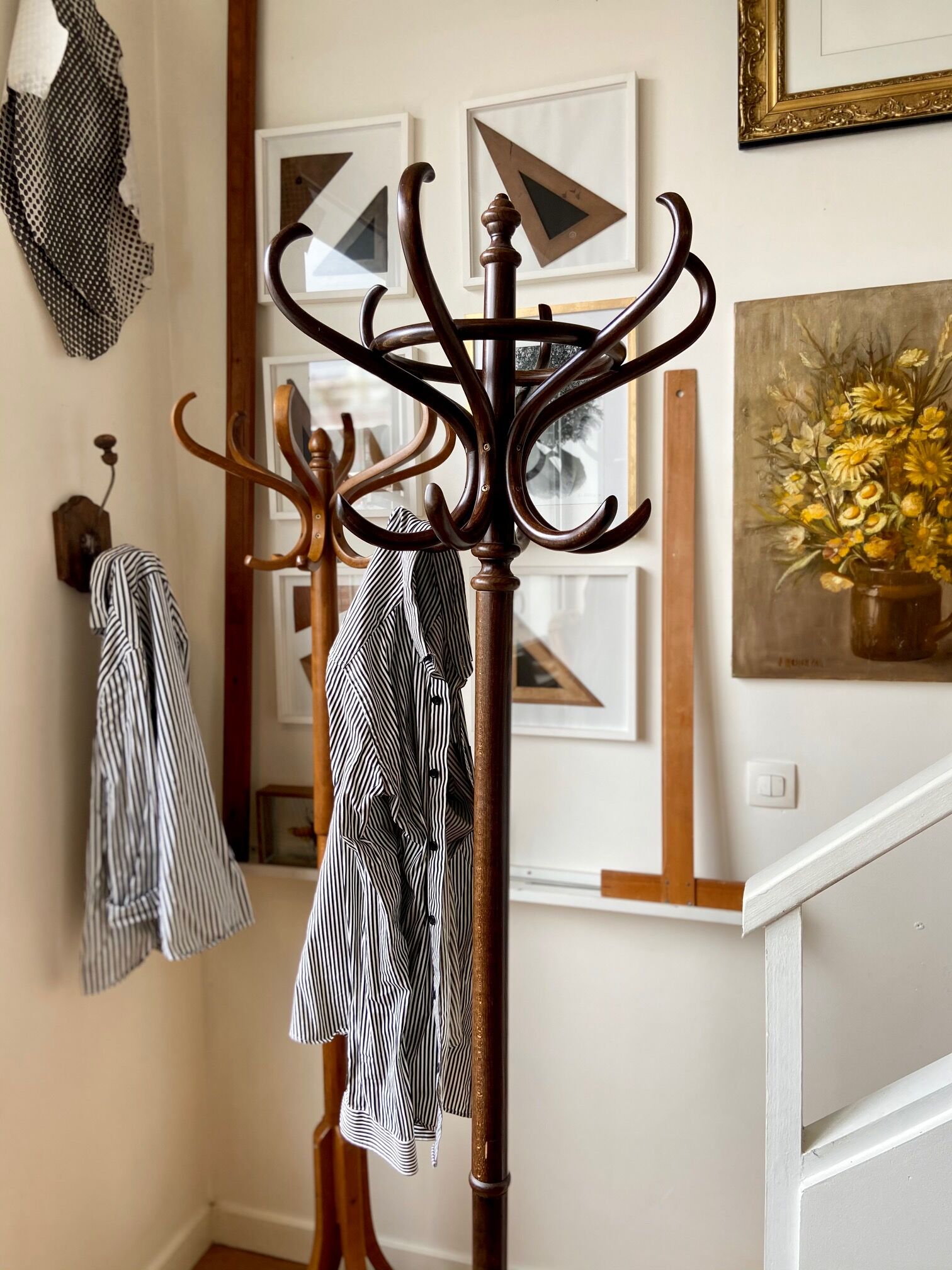 Light wooden parrot coat holder 6 patères