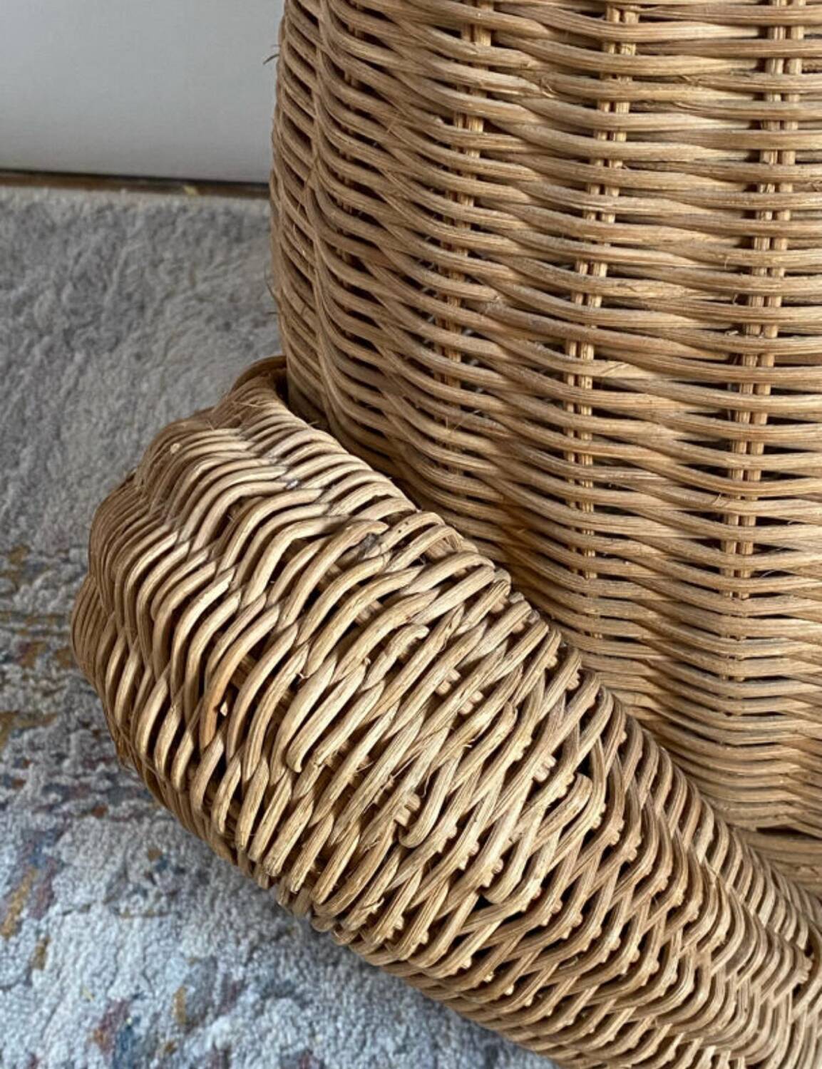 Willow frog Olivier Cajan