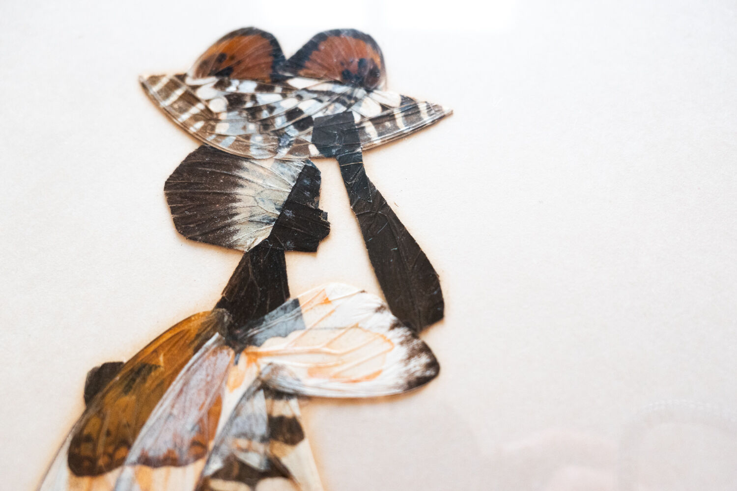 African painting in marquetry of butterfly wings