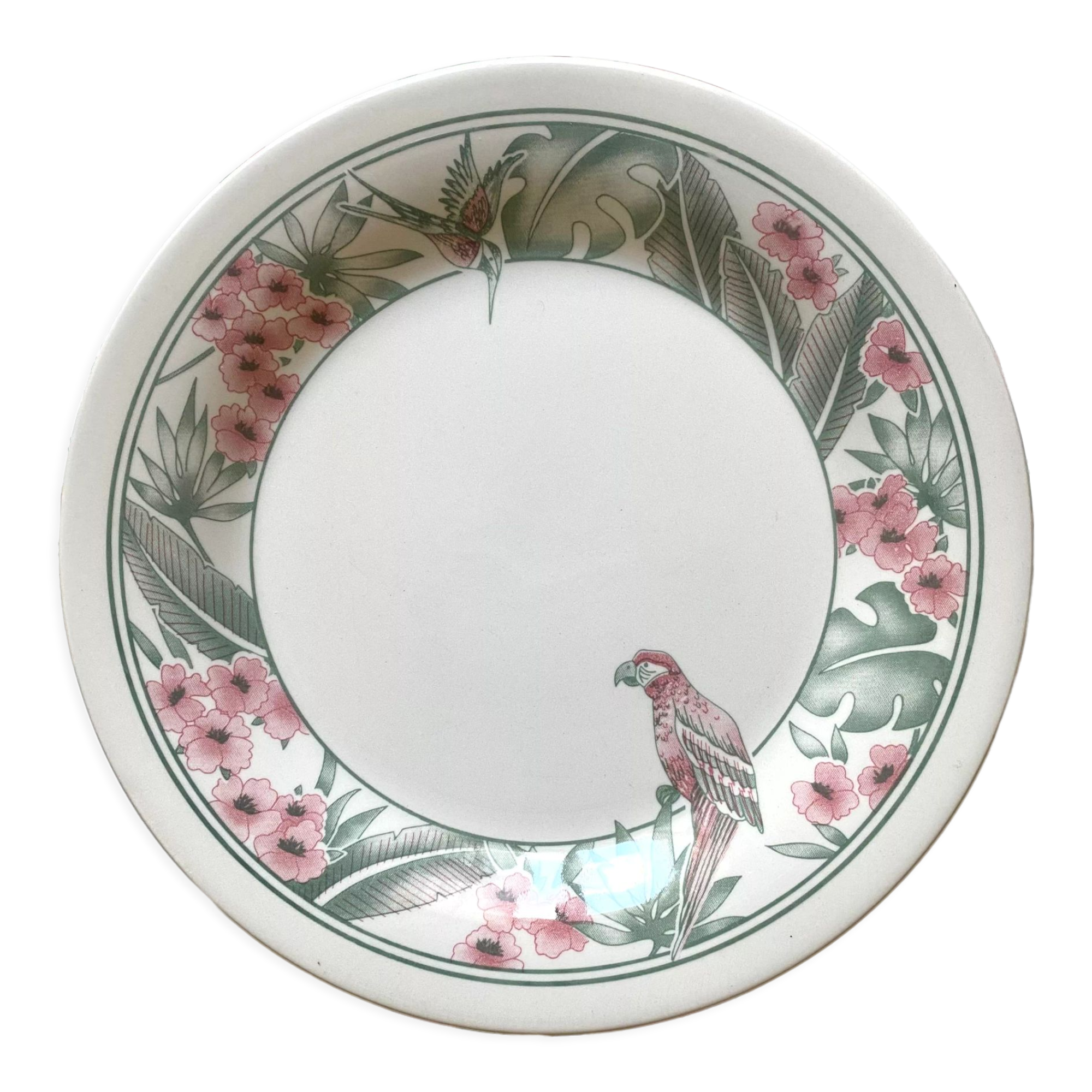 Parrot Tableware Staffordshire England Dessert Plates 1980s